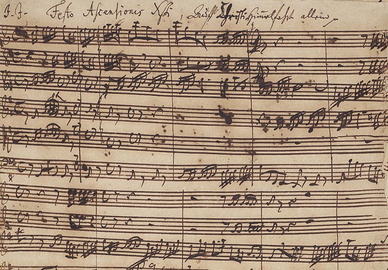 A section of a handwritten manuscript