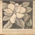 A drawing of a large flower in the centre surrounded by a list to the right, left and below