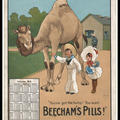 A boy and girl try to give a medicine tablet to a large camel